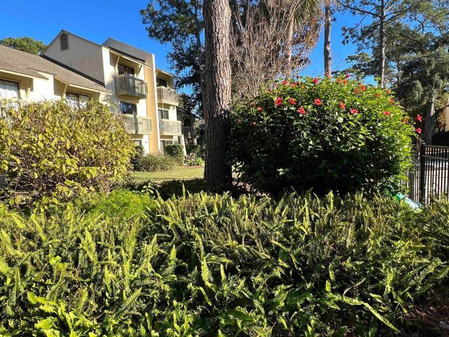 Spacious, Cozy Villa W/Parking In Coligny Villas Pulau Hilton Head Luaran gambar