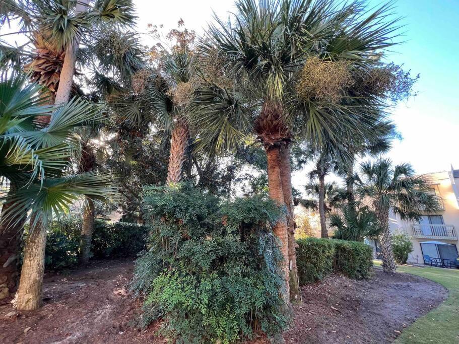 Spacious, Cozy Villa W/Parking In Coligny Villas Pulau Hilton Head Luaran gambar